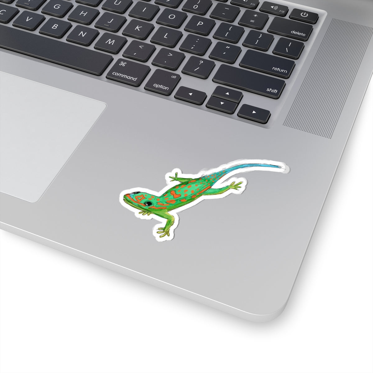 Colorful lizard gecko sticker - Perfect for Laptop & Water Bottles, Great Gift Idea