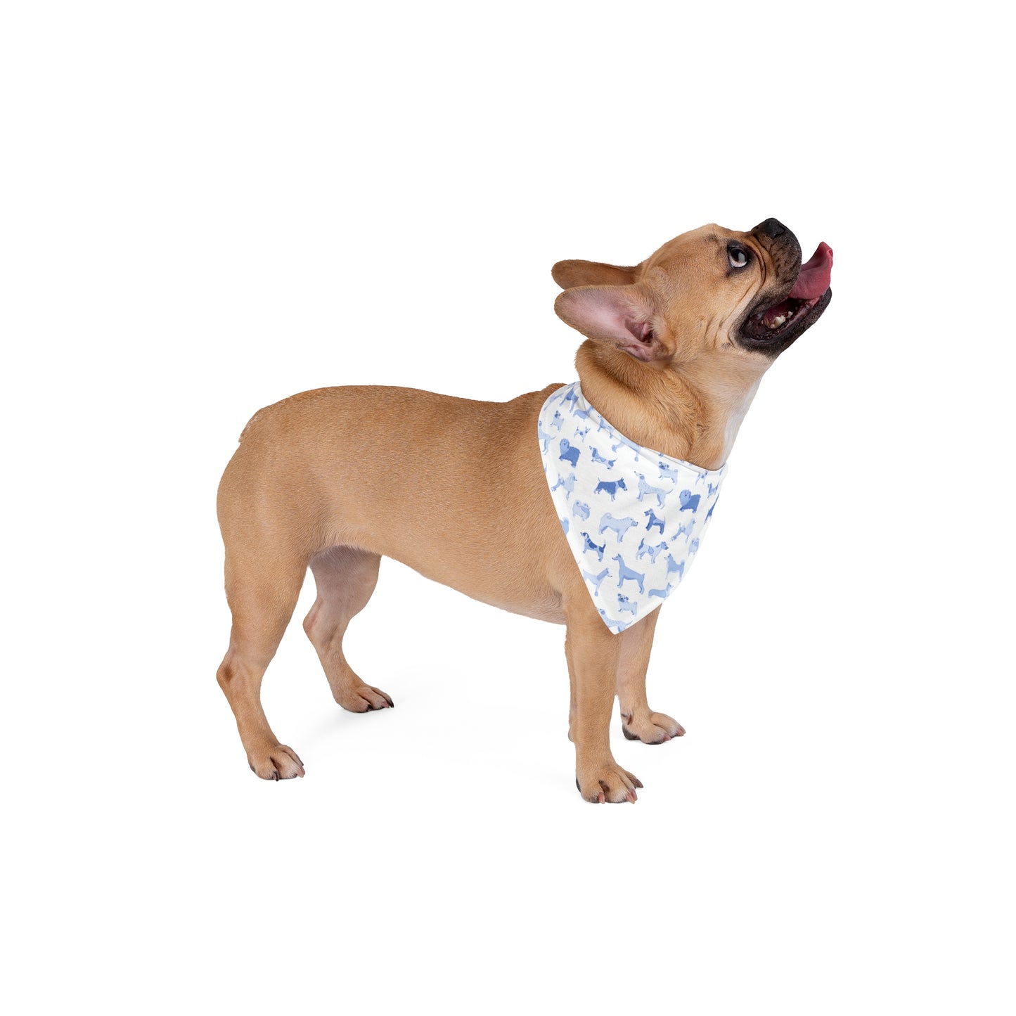 Cute Dog Print Pet Bandana, Stylish Dog Scarf, Pet Accessories for Dogs, Gifts